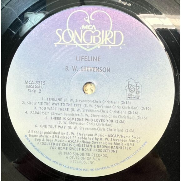 B.W. Stevenson Lifeline Vinyl LP Country 1980 PROMO Songbird 3215 + Insert - Picture 3 of 9